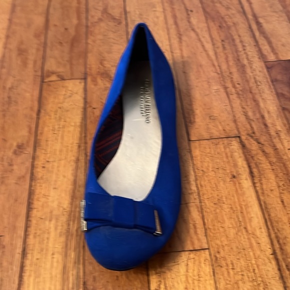 Christian Siriano Size 8.5w Slightly used blue flats - Picture 10 of 11